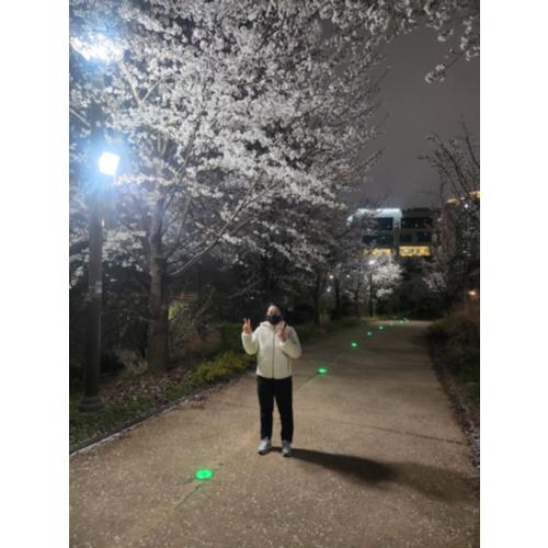 김용성